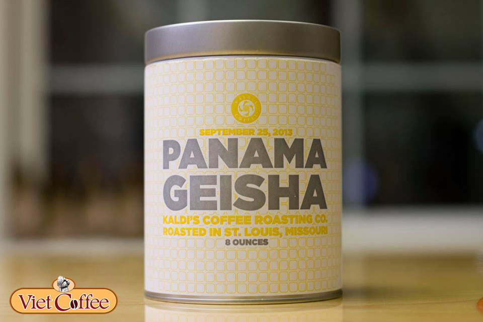Cà phê Geisha Panama
